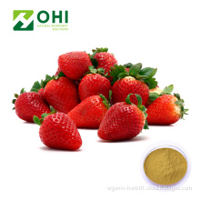 garden strawberry extract powder